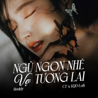 Ngủ Ngon Nhé Vợ Tương Lai (Lofi) [feat. CT & H2O Lofi] - Single - Duy Tuyên