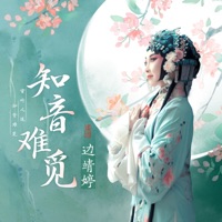 知音难觅 - Single - 白玉盘 & 边靖婷