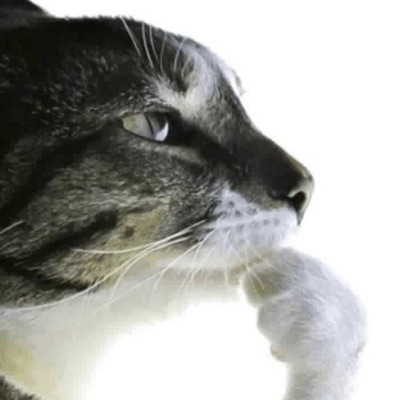 COOL IT (feat. Popoutt shawtt) - Single