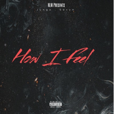 How I Feel (feat. Sevyn) - Single