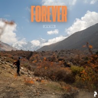 Forever - Single - Punit Bikram Shah