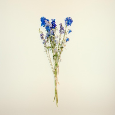 La Belle et l'Aveugle - Single