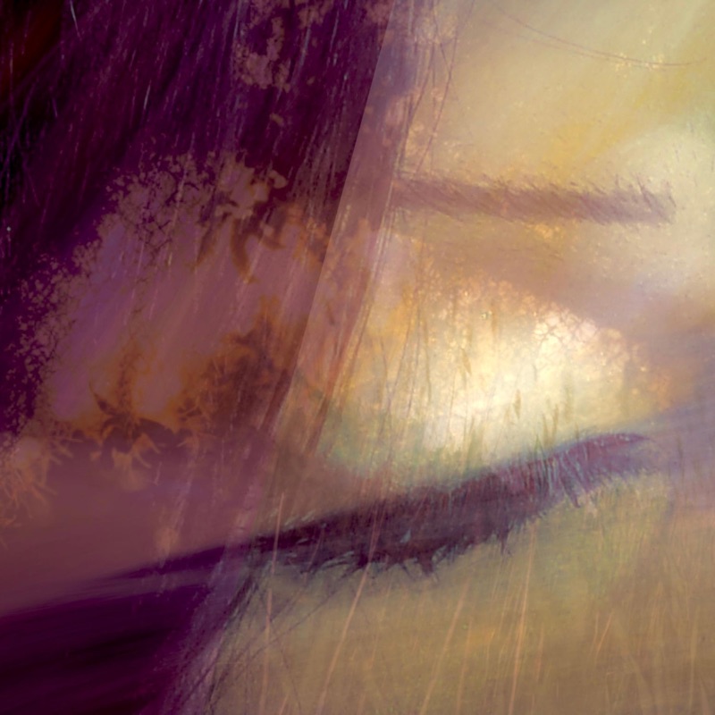 Eyes On The Wind - Violet Harbour: Song Lyrics, Music Videos & Concerts