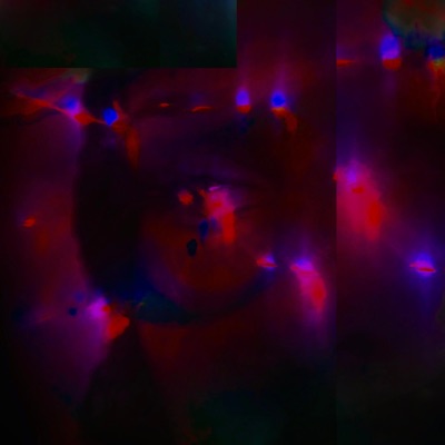 reassess thy internal (old demo) - Single