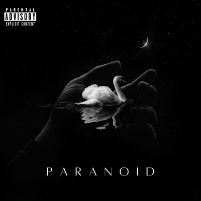 PARANOID (feat. Airliftz & Brendonse7an) - Single