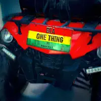 ONE THING — BIA