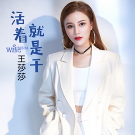 活着就是干 (Dj何鹏版伴奏) 王莎莎