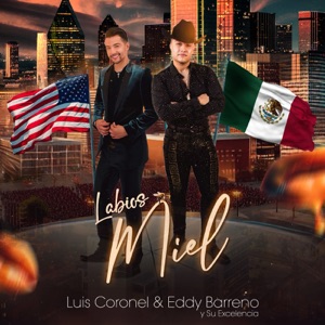 Labios Miel - Single