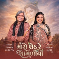 Maro Seth Re Shamadiyo (feat. Bhoomi Ahir & Parth Thakar) - Single - Jaymin Vaidhya