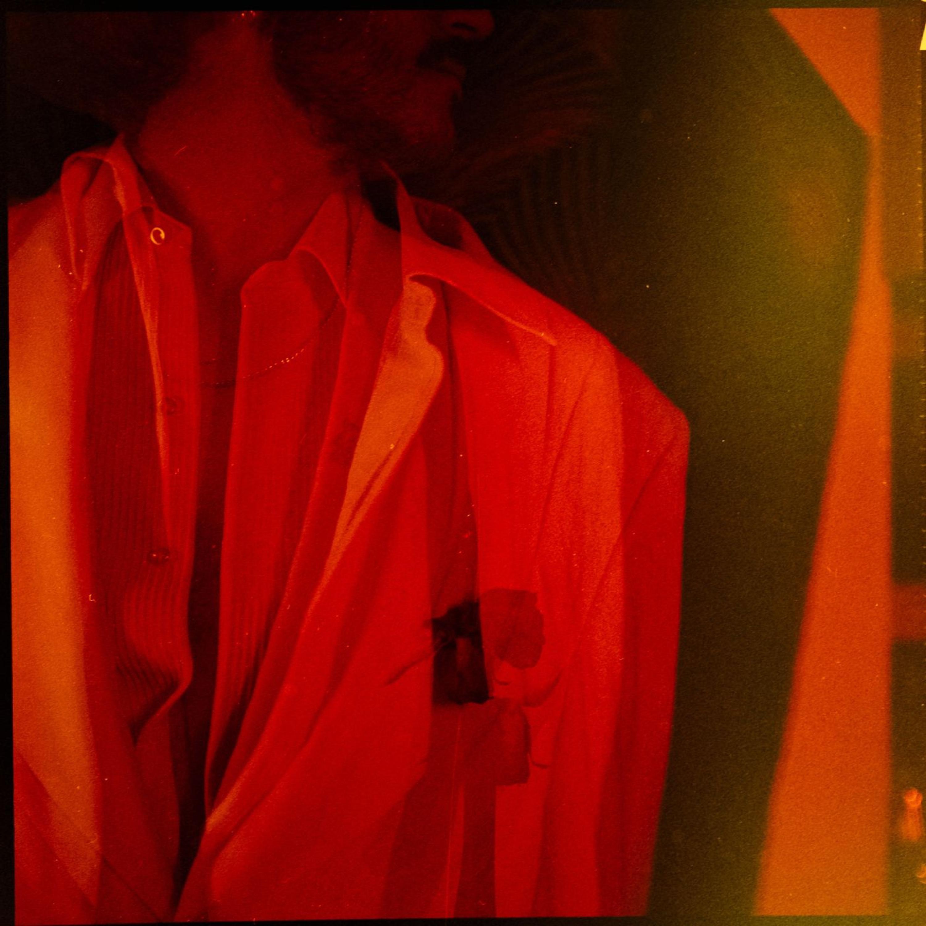 Have You Got What You Came Here For? - Single