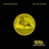Christopher Cross & Party Pupils - Ride Like The Wind (Yacht House Mix)