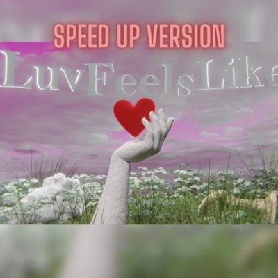 Luv Feels Like (Speed Up Version) - Single