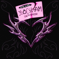 Kocham Całym Sercem - Single - Piluś