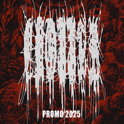 PROMO 2025