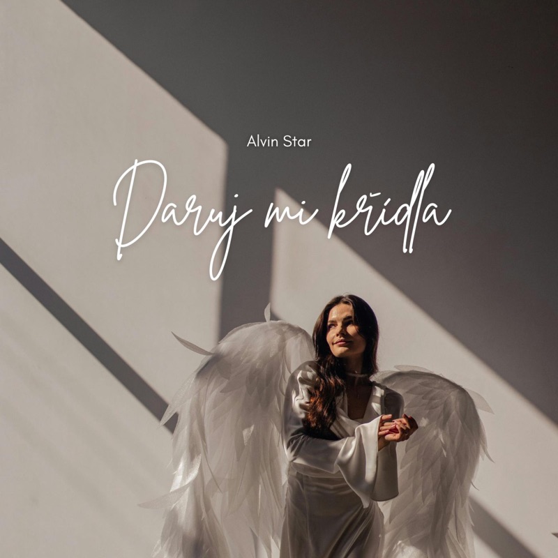 DARUJ MI KŘÍDLA - Single