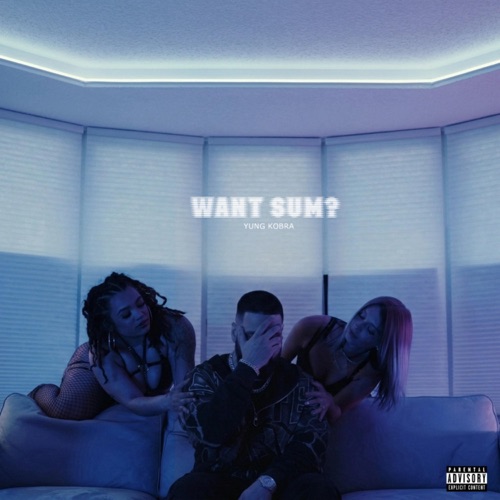 Want Sum? - Single