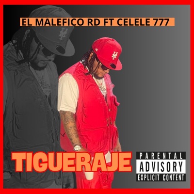 TIGUERAJE (feat. CELELE 777) - Single