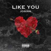 Like You - Single - Josiah