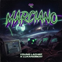 Marciano - Single - Young Lachef