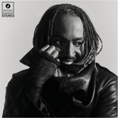 She Knows Too Much - Thundercat &amp; Mac Miller Cover Art