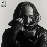 She Knows Too Much - Thundercat &amp; Mac Miller Cover Art