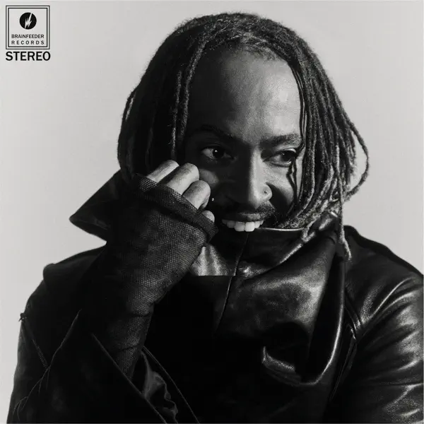 I Did This To Myself album art