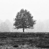 Blame On Me - Single - Lonely Playboy & KAZEY J