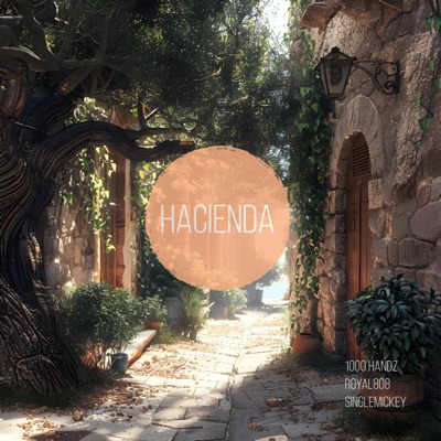 Hacienda (feat. 808royalbeats & singlemickey) - Single