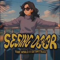 SESING DOOR - Single - OSTAVITSLED & True World