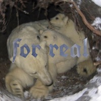 for real - Single - Sxlar