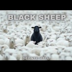 Black Sheep - Single