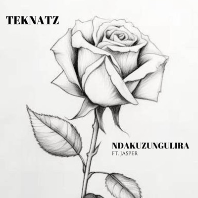 Ndakuzungulira (feat. Ja$per) - Single