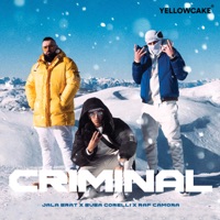 Criminal - Single - Jala Brat, Buba Corelli & RAF Camora