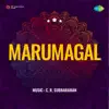 A. M. Rajah, P. A. Periyanayaki & U. Narayanakavi - Pesaatha Mounam