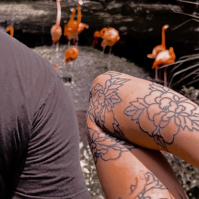 RUN (feat. Dedamin) - Single