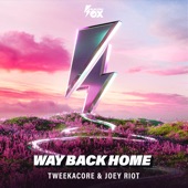 Way Back Home (Extended Mix) artwork