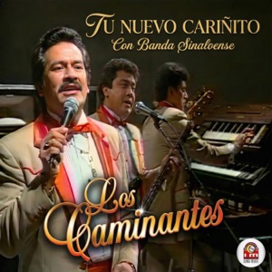 Tu Nuevo Cariñito (Con Banda Sinaloense) - Single