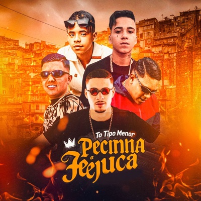 To Tipo Menor Pecinha e Fejuca - Single