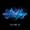 VOICE