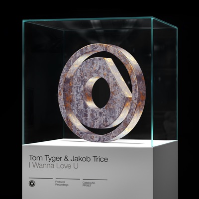 I Wanna Love U - Single