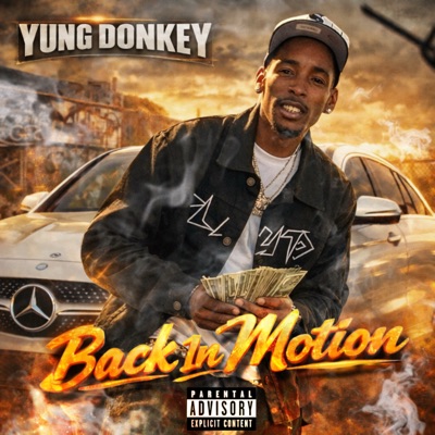 Back In Motion