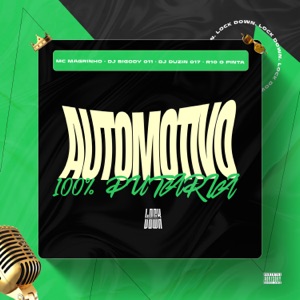 Automotivo 100% Putaria (feat. R10 O Pinta)