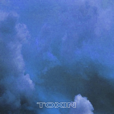 toxin (feat. Babe) - Single