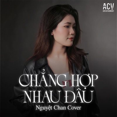 Chẳng Hợp Nhau Đâu - Single