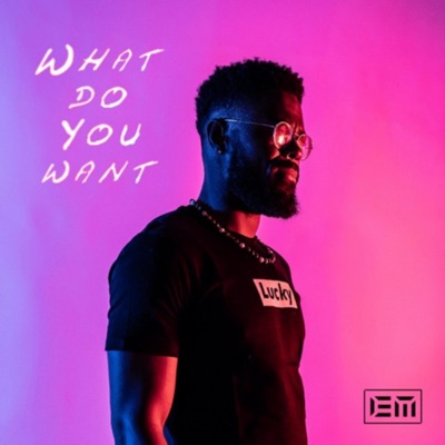 What do you want - Single