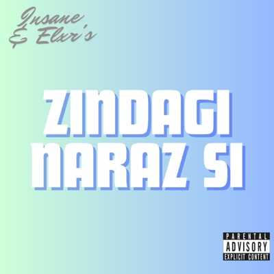 Zindagi Naraz Si (feat. Insane) - Single
