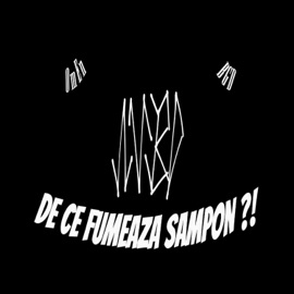 DE CE FUMEAZA SAMPON ?! (feat. 09BGD) OmEn