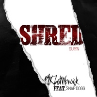 Shred sum'n - Single - PTK LothBrook