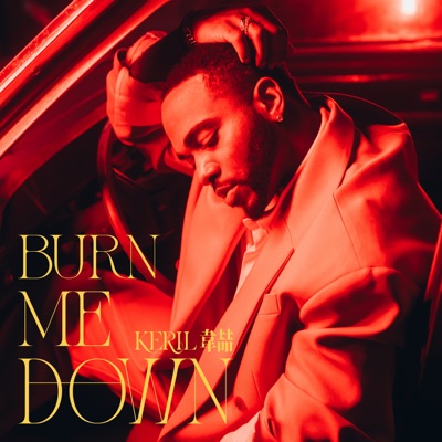 Burn Me Down - Single