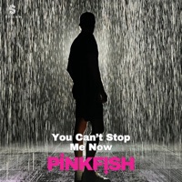 You Can't Stop Me Now - Single - PINKFISH